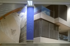 WP_20161110_14_51_31_Pro_b